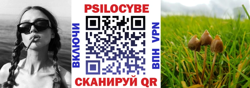 Галлюциногенные грибы прущие грибы  Купить где  Балабаново 